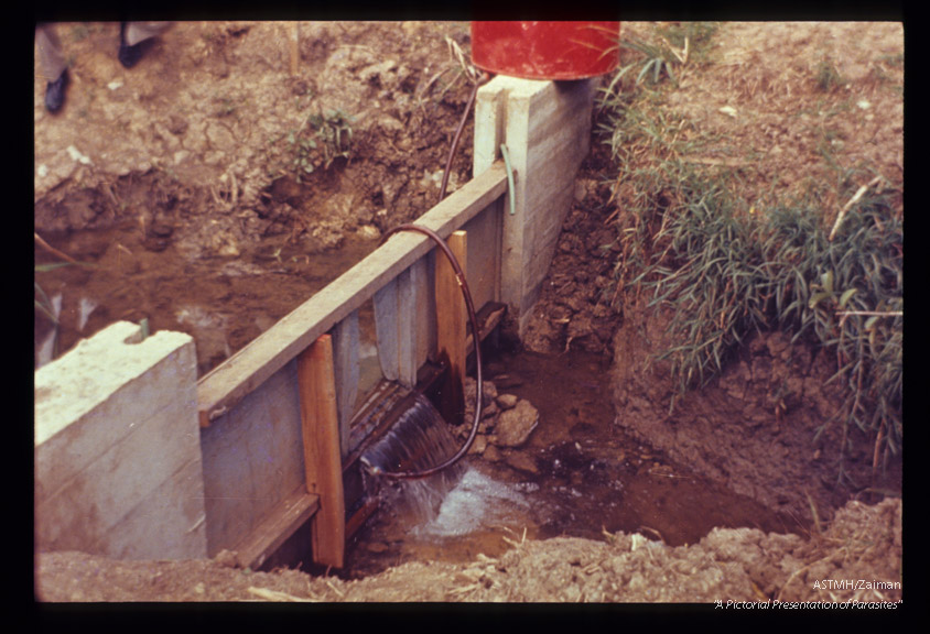 Weir placed across small stream and fitted with apparatus which instills molluscicide according to rate of water flow (Puerto Rico).