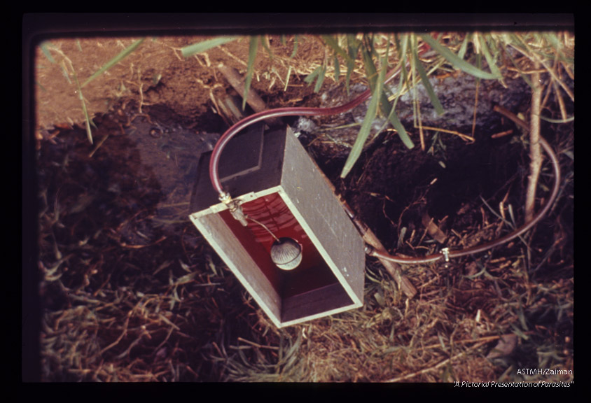 Mollusciciding apparatus used on small stream in Puerto Rico.