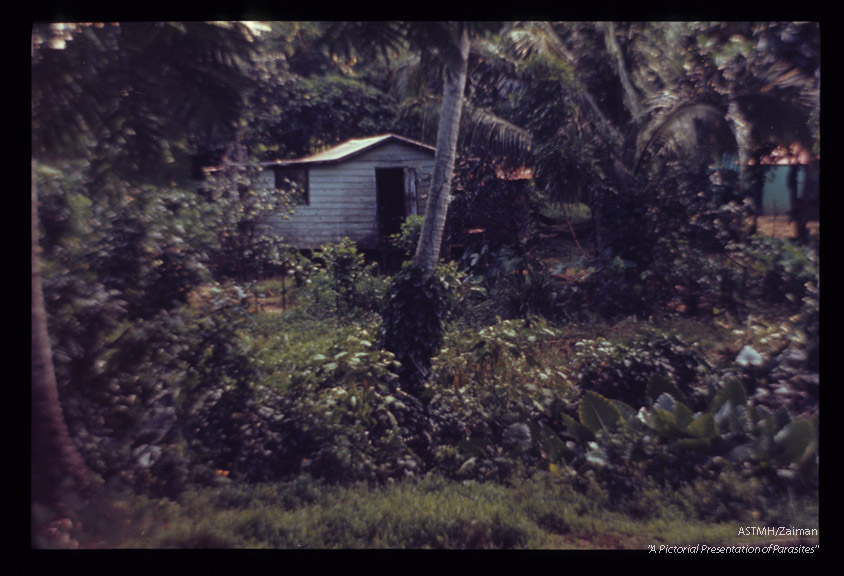 House equipped with basic plumbing but nearby stream polluted because bridge is local social point where women gather to gossip or wash clothes and men play cards.