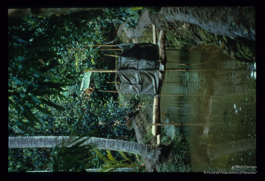 Built over a fish breeding stream. Vietnam.