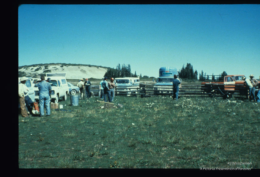 Field clinic in Utah.