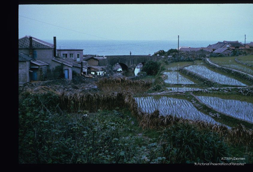 The location of the village near the stream increases chances for contamination of the water by parasite contaminated feces derived from human or other animals.