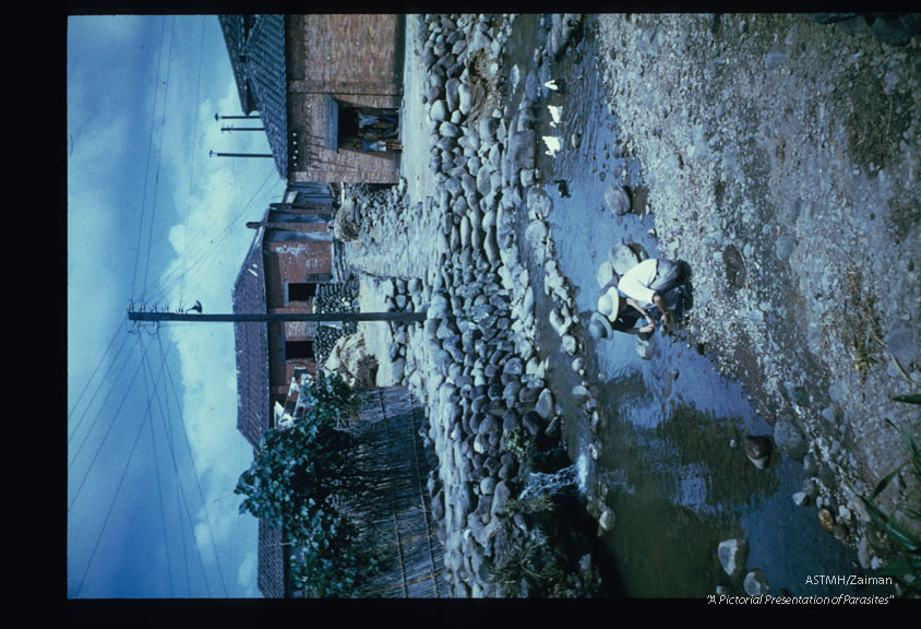 The stream is an important feature in village life serving as a place to fish, go crabbing, and to socialize while washing clothes, dinnerware, or oneself. It also serves as a source of water for the natives and animals.