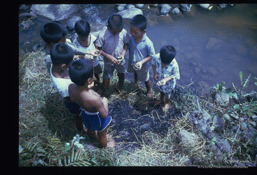 Children who catch crabs may build a fire of dried rice plants. When the fire is reduced to embers, living crabs are thrown in for a few minutes. They are then fished out with sticks and eaten.