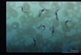Blood smear