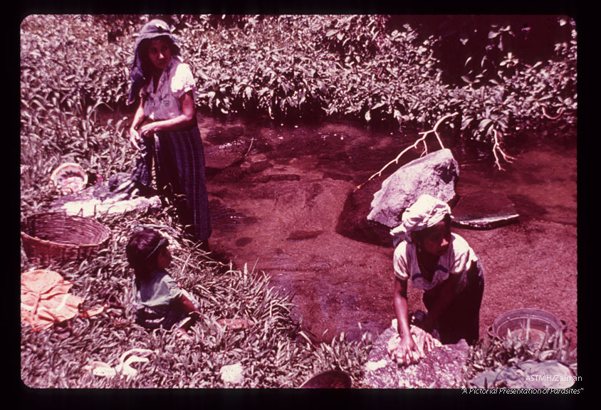 Women washing clothes, in stream which produces biting flies,in endemic region.