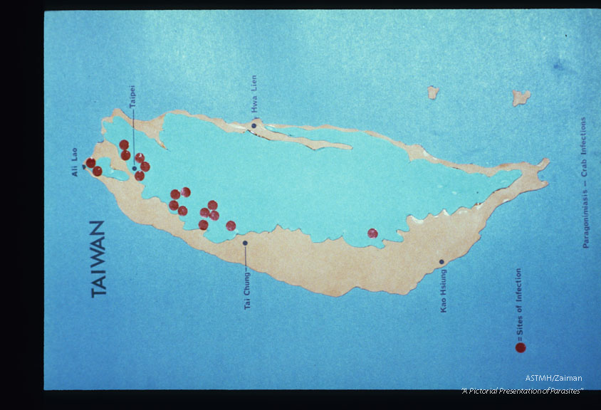 In Taiwan, Paragonimus is found in a number of localities, mostly in the northern third of the island (see map). Incidence ranges from about 5% to 20% in closely knit villages like Ali-lao. a farming and fishing village at the tip of the island.