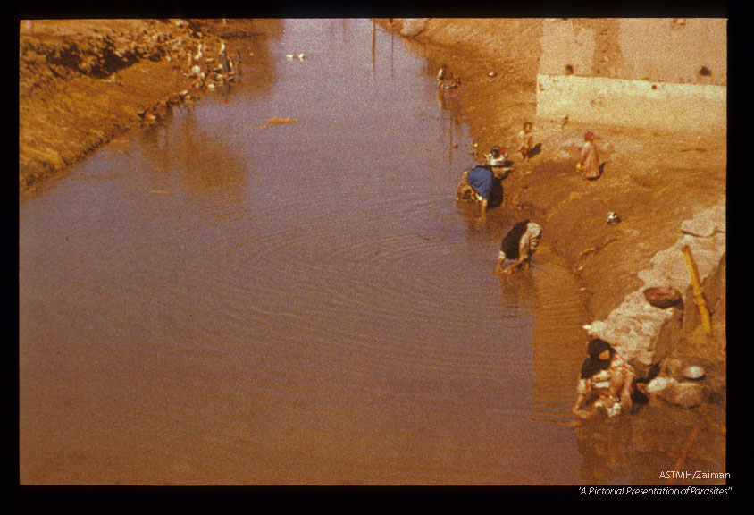 Irrigation canal in Egypt. Sixty-two percent oF children 2-6 years old are infected, intermediate host is Bulinus.