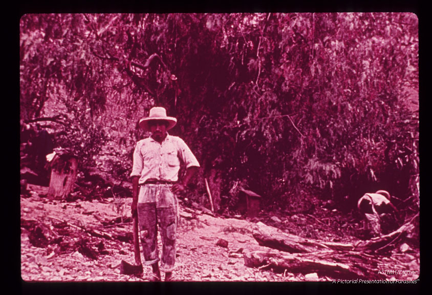 Epidemiology, typical peasant owner of adobe house in upper Maranon valley. Many Trypanosoma cruzi infected triatomines were found in his house and in the tree behind him.