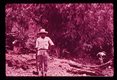 Epidemiology, typical peasant owner of adobe house in upper Maranon valley. Many Trypanosoma cruzi infected triatomines were found in his house and in the tree behind him.