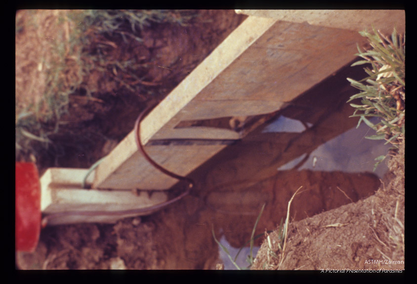 Weir placed across small stream and fitted with apparatus which instills molluscicide according to rate of water flow (Puerto Rico).